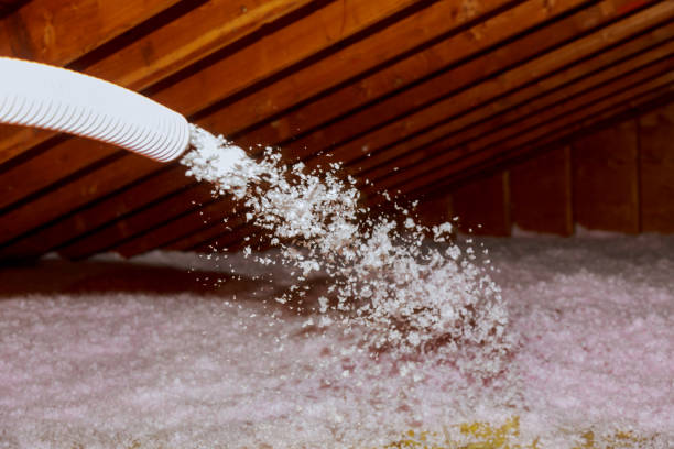 Best Types of Insulation in Plant City, FL